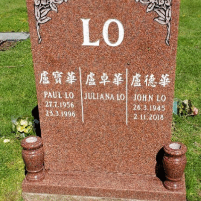 Indian Red Serpentine Top w Chinese Characters