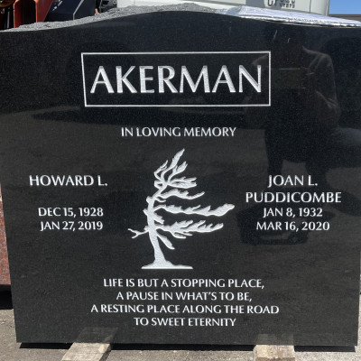 Black Granite w Border and Tree Artwork