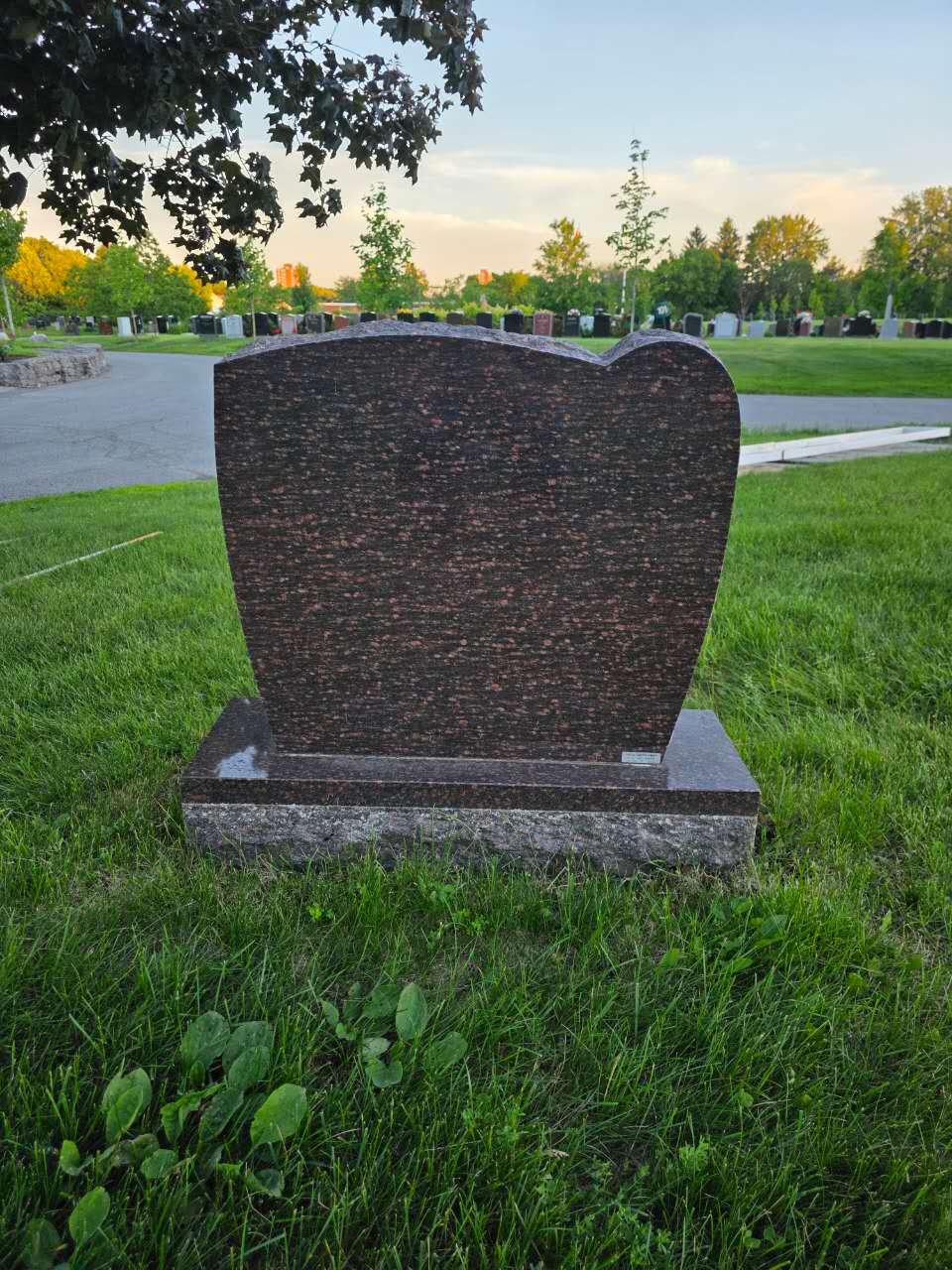 Serpentine-top Cat's Eye granite headstone on a rock-pitched base in a GTA cemetery