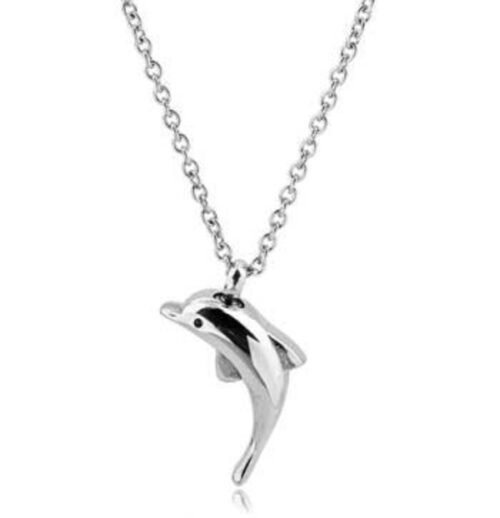Stainless steel dolphin cremation pendant on a chain