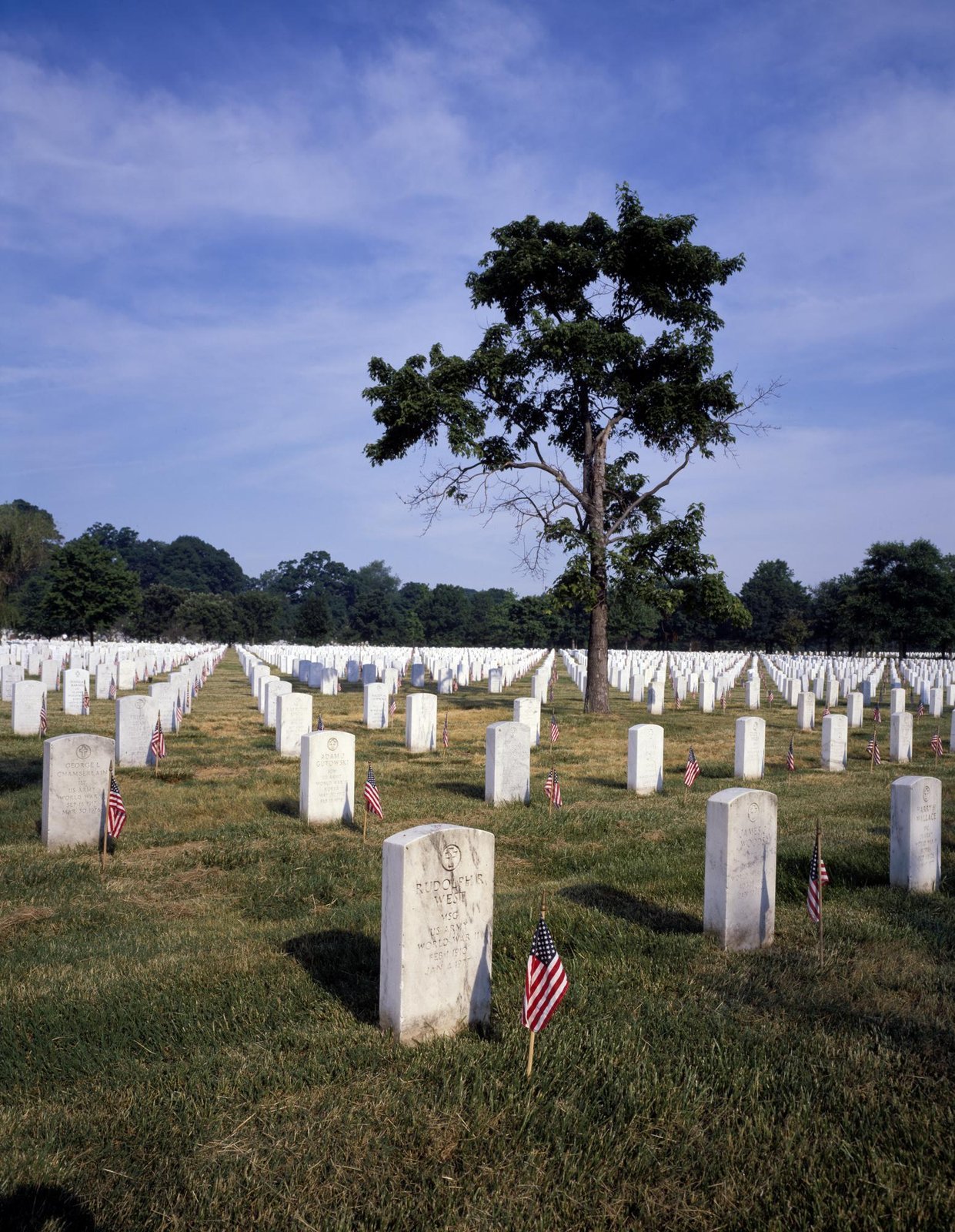 Long rows of identical white marble headstones with small American flags at Arlington National Cemetery, Virginia