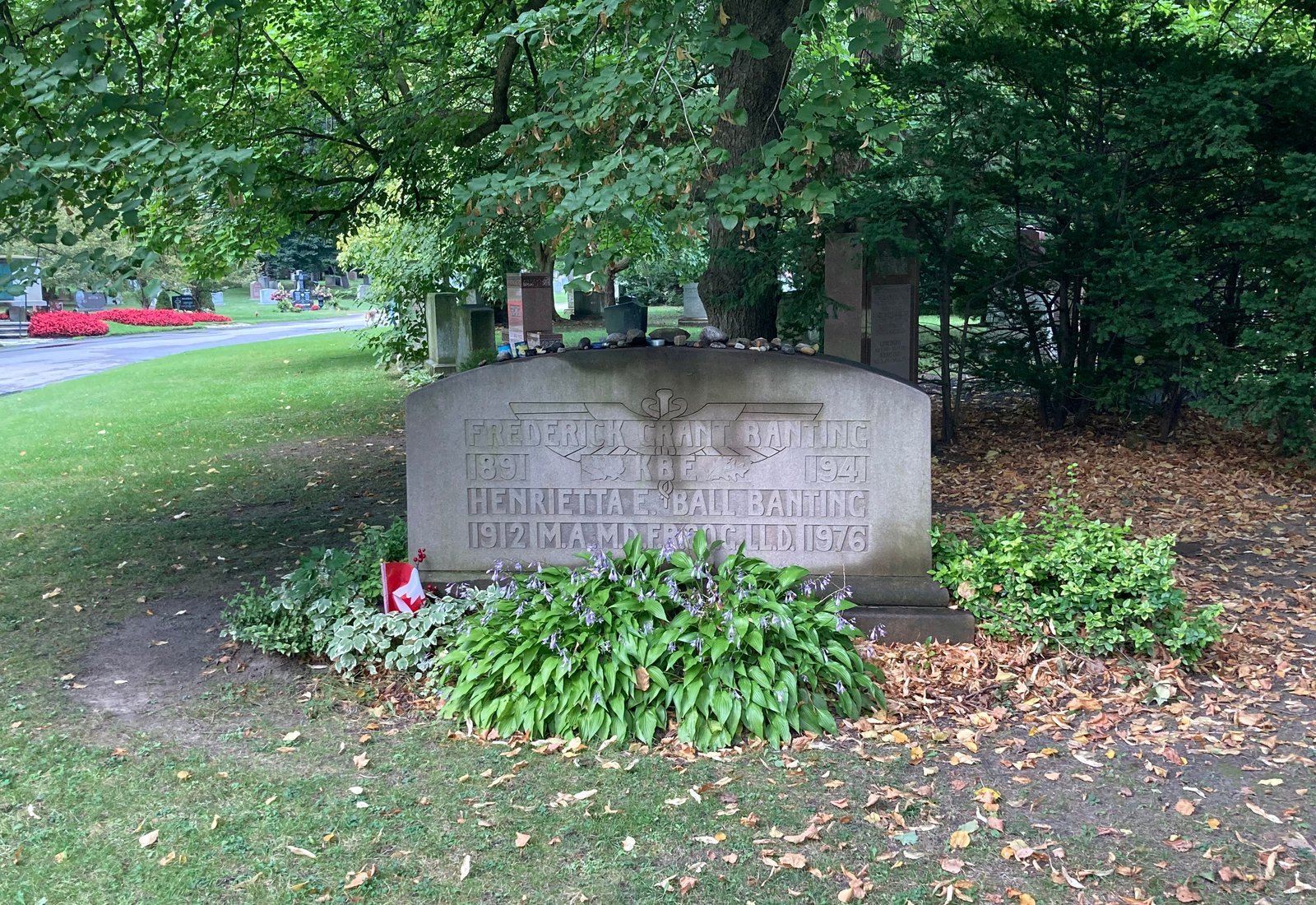 Upright light grey headstone with a carved winged staff and hostas in bloom at its base, Mount Pleasant Cemetery, Toronto