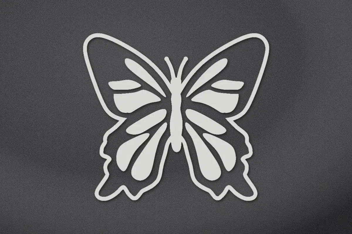 Butterfly engraved on black granite