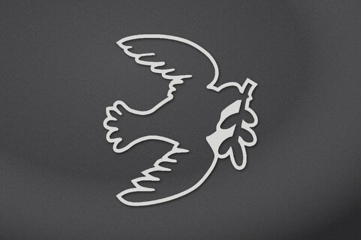 Dove with an olive branch engraved on black granite