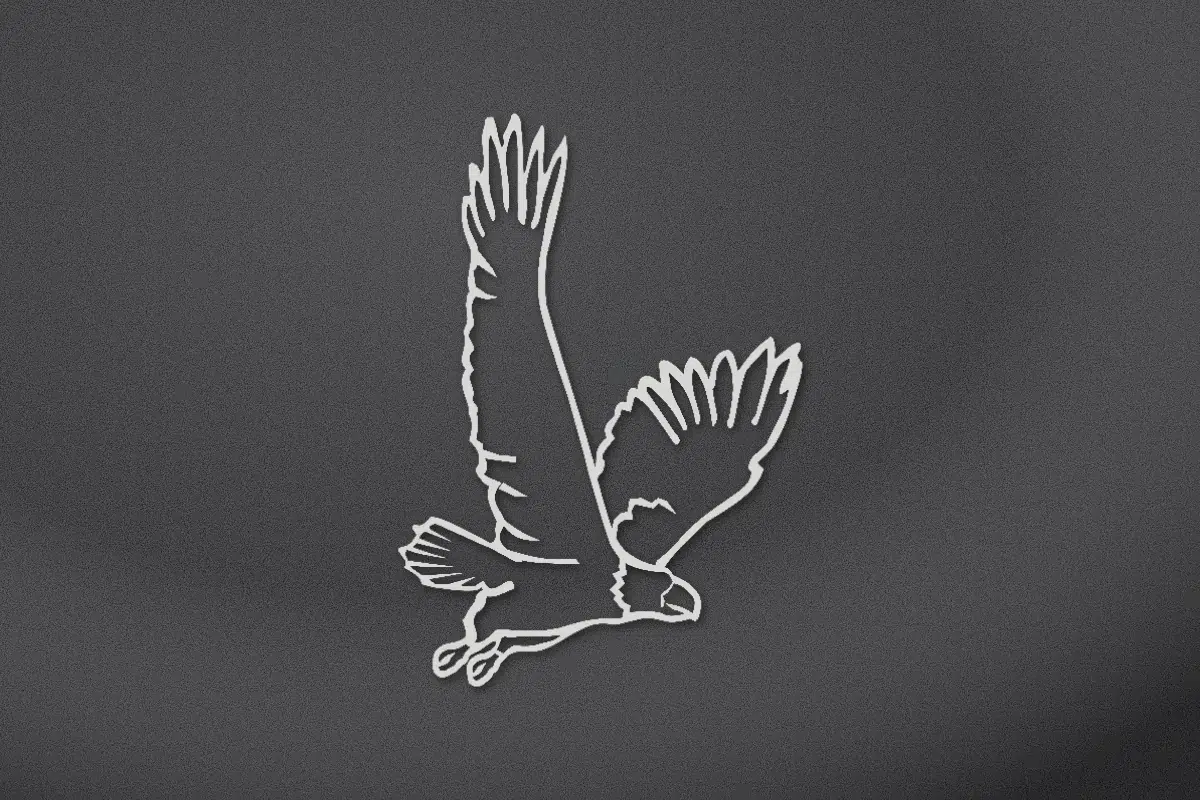 Eagle in flight engraved on black granite
