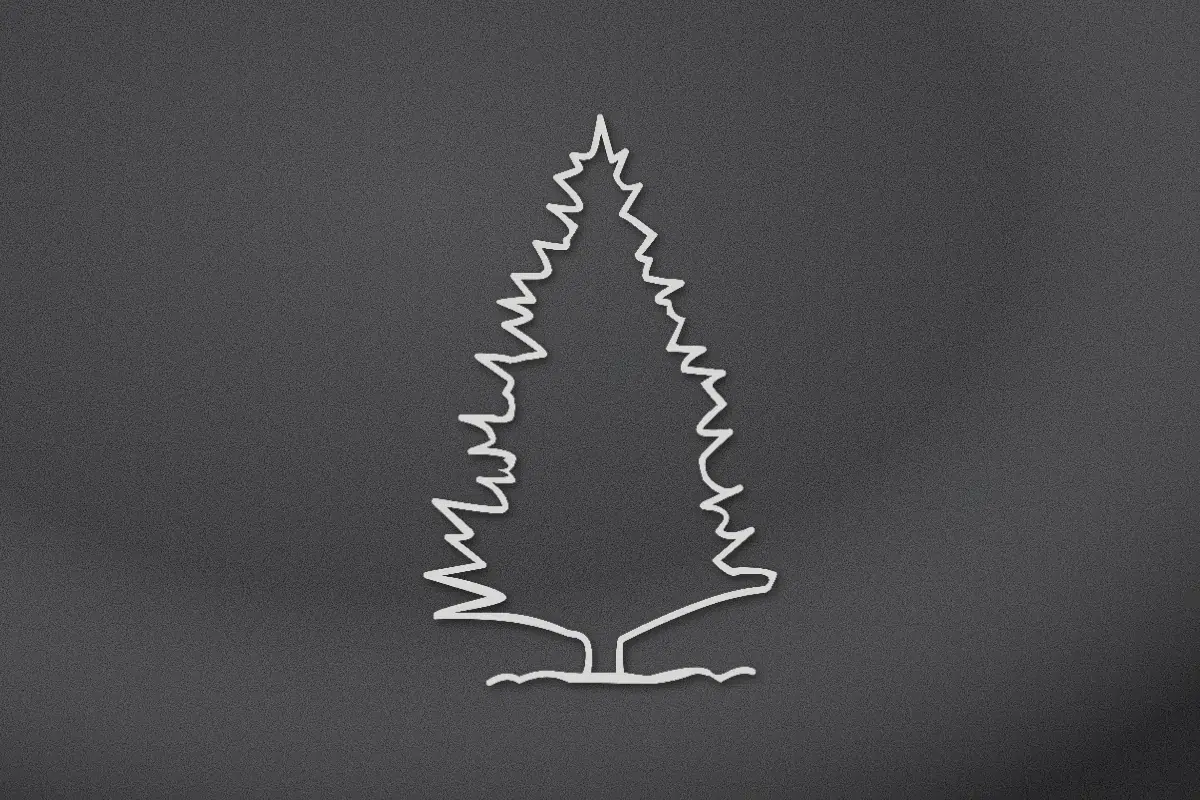 Evergreen engraved on black granite