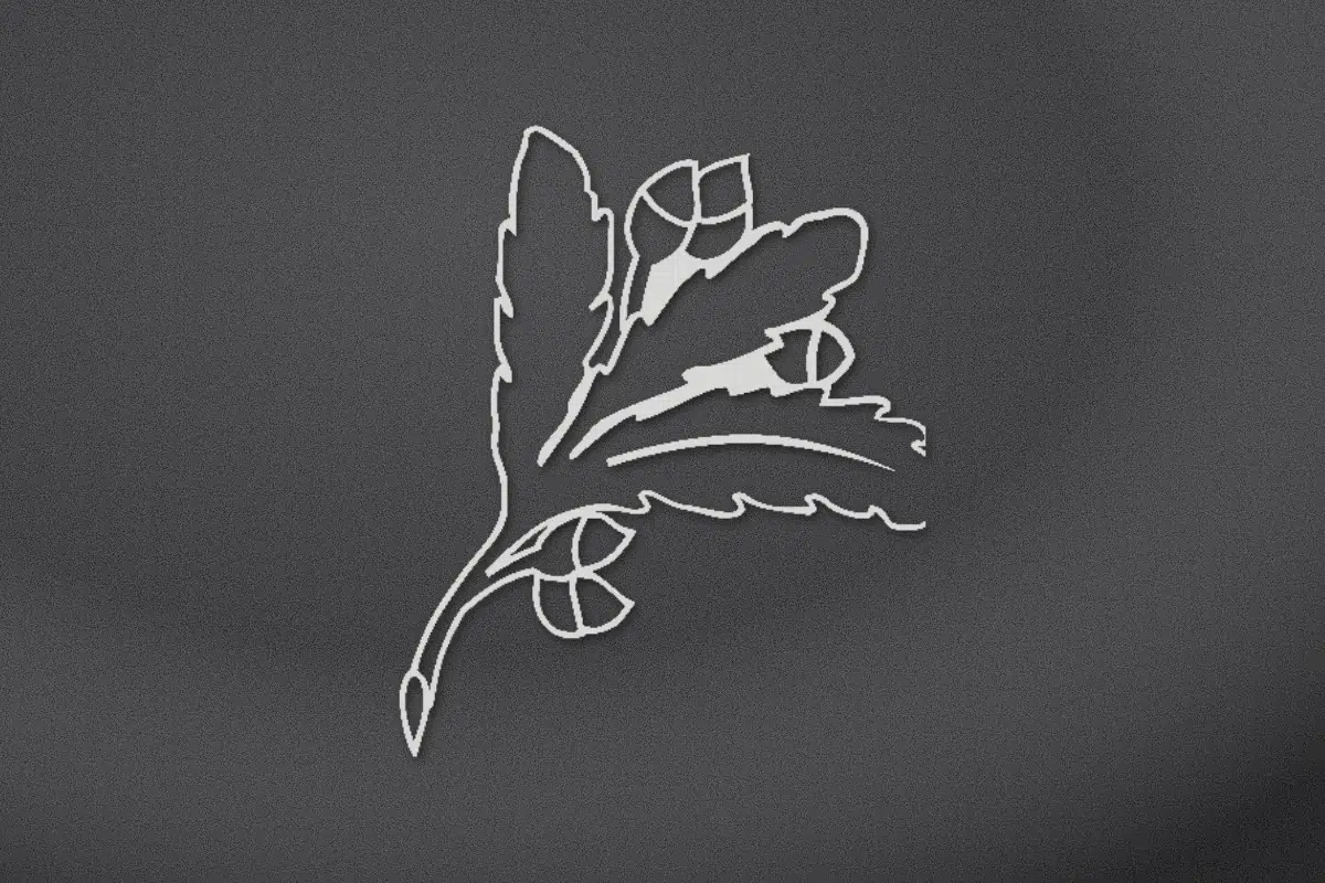 Oak leaves and acorns engraved on black granite