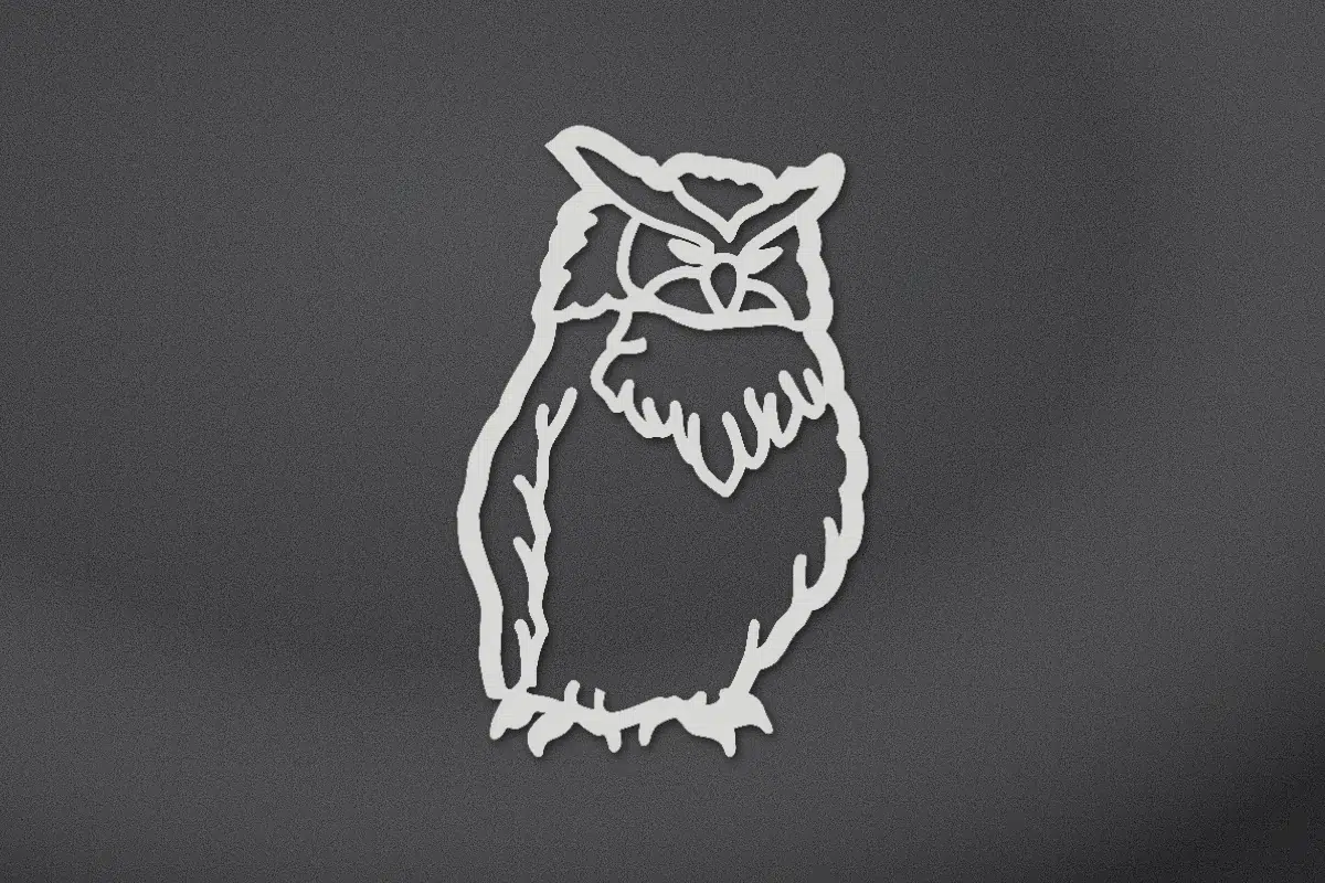 Owl engraved on black granite