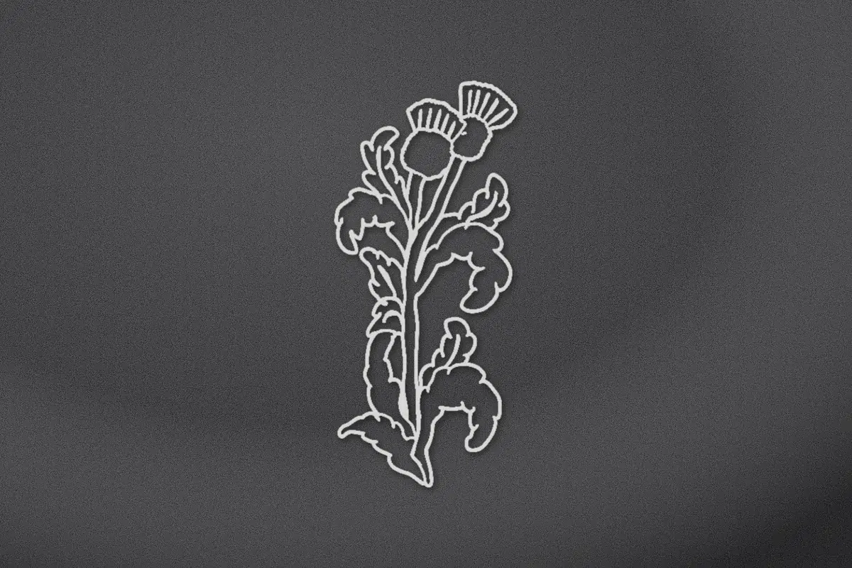 Thistle engraved on black granite