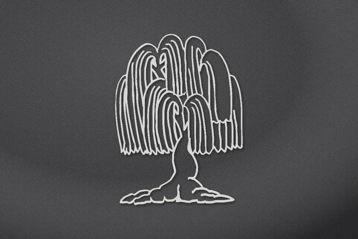 Weeping willow engraved on black granite